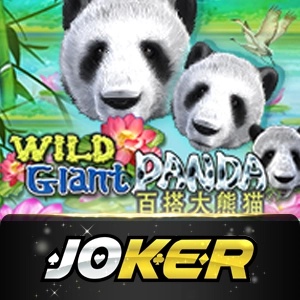 Joker123 - letsbet77

